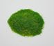 Трава (весенняя полевая), флок 3 мм. Arion Models AM.G008, 20 г