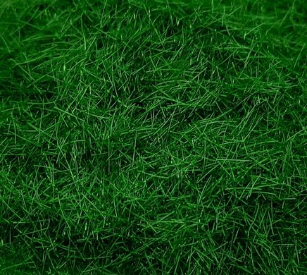 Трава свіжа, весняна, 5 мм, флок. Arion Models AM.G106, 30 г