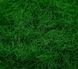 Трава свежая, весенняя, 5 мм, флок. Arion Models AM.G106, 30 г