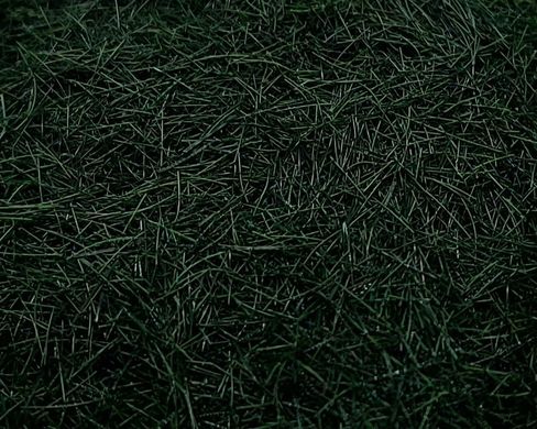 Трава болотна, темна, 5 мм, флок. Arion Models AM.G105, 30 г
