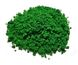 Листя (зелена), фоліаж, імітація рослинності. Arion Models AM.L002, 20 г