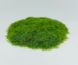Трава луговая, 5 мм, флок. Arion Models AM.G104, 30 г